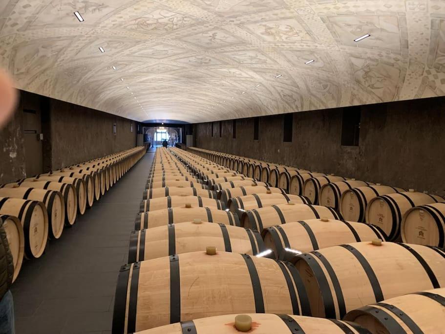 Studio Confortable Aux Portes De Bordeaux Et Medoc Ludon-Medoc Экстерьер фото